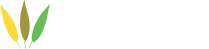 Eocene logo